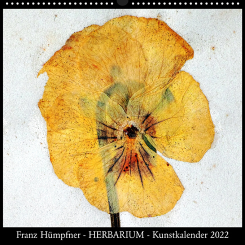 herbarium 2022